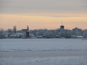 IMG_0200