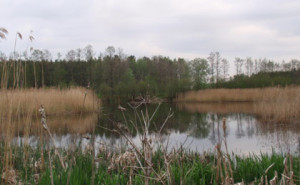 Lerbro