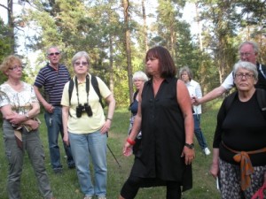 gotland1-1
