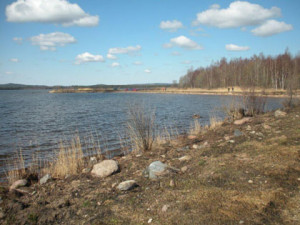 vadviken