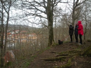 Bild 14
