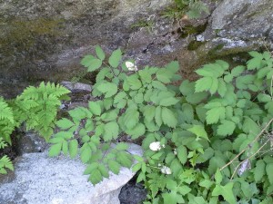 20140528_115820