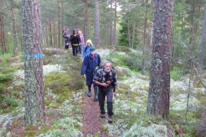Bild 16