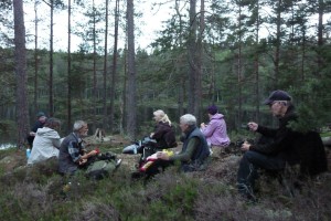 Bild 17