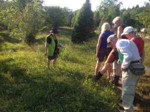 Bild 2
