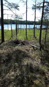 Bild 15