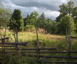 Åskmoln Inges bild