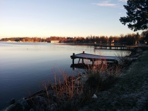 IMG_20151123_143211