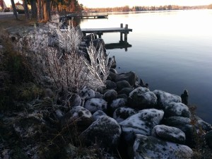 IMG_20151123_143600