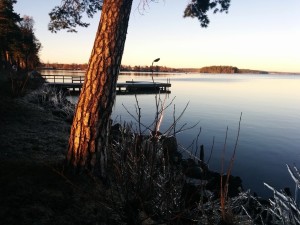 IMG_20151123_143855