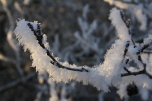 Vinter i Tibro vinjett