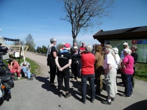 Bild 5 Inges bild K-gården samling