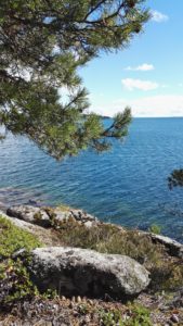 Hyttehamn 2
